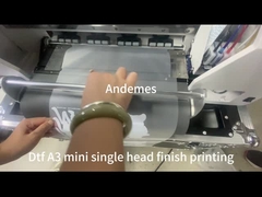 Model A3 Mini 13 inch DTF printer met CMYKW Ink Powder Shaker Oven en twee XP600 koppen