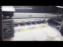 DTF Inkjet Printer I3200 24 inch Print Size 400 KG Capaciteit voor warmteoverdracht